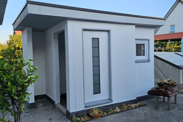 Tinyhouse 2 Eingang_2